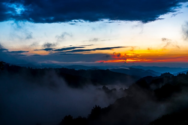 Dark Silhouettes of Trees and Amazing Cloudy Sky on Sunset at Black Sea Turkey