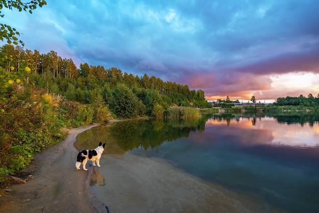 Il cielo scuro con lacune al tramonto si riflette nel lago