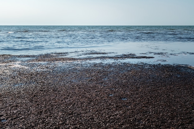 dark smelly waste on the water surface