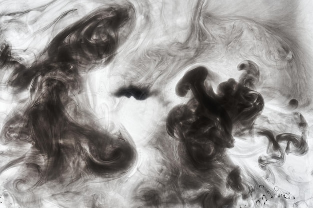 Dark smoke on white ink background colorful fog abstract swirling ocean sea acrylic paint pigment underwater