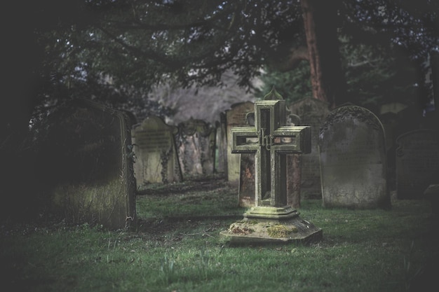 Photo a dark and spooky halloween cemetery with gravestone at night