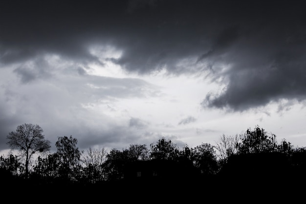 写真 嵐の間の劇的な空の暗い嵐の雲。雷雨の空を背景にした木のシルエット