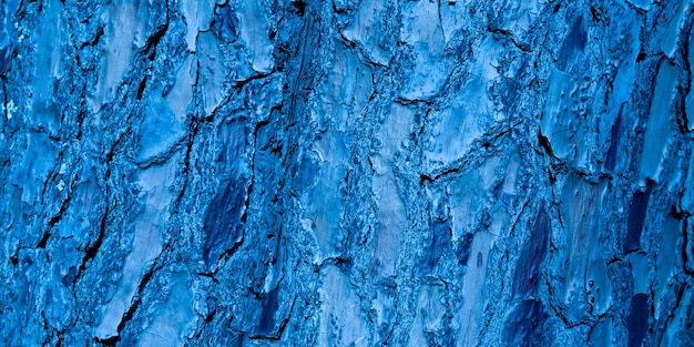 Dark wall blue wooden background concept wood Horror texture banner
