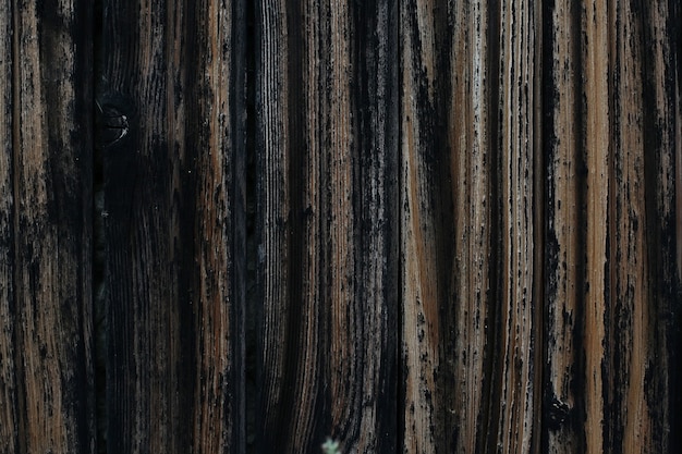 Dark wood texture space design