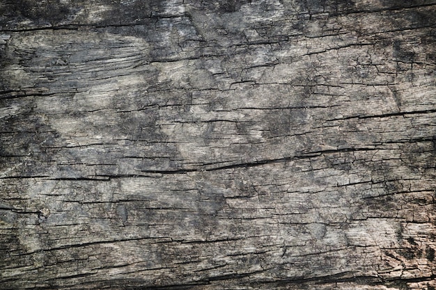 Dark wood texture surface with old natural pattern. 