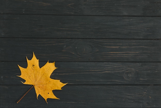 Dark wooden background with yellow autumn leaves