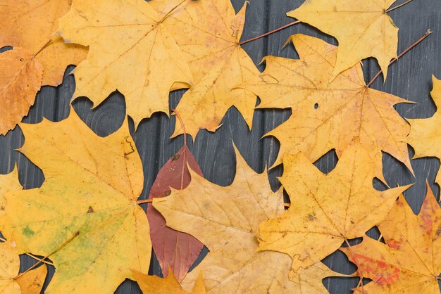 Dark wooden background with yellow autumn leaves