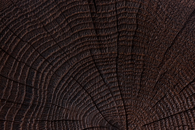 Dark wooden background