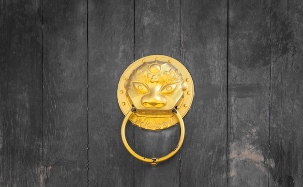 dark wooden gate with lion door knocker