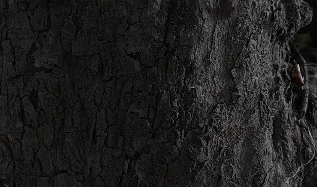 dark wooden vintage textured background