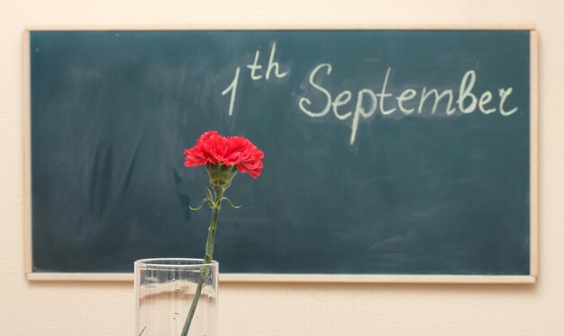 The date on the blackboard First of September A red carnation