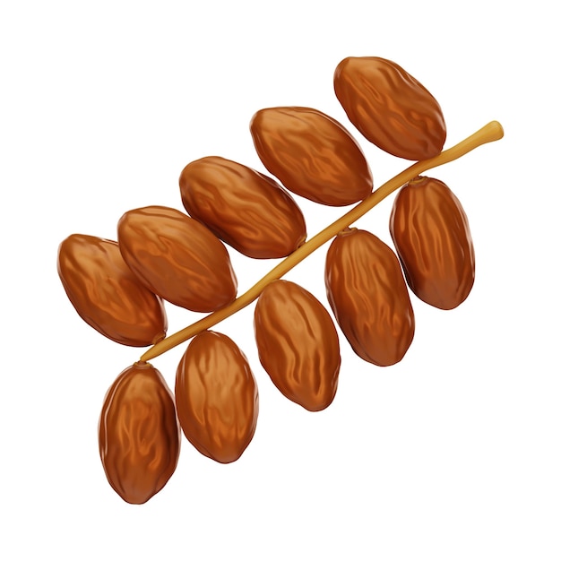 Dates Fruit in different Styles Fruit Dates illustration 3