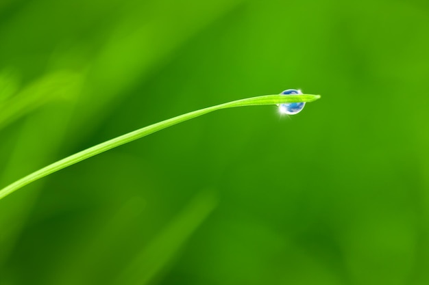 Dauwdruppel met Sky reflectie op Grassprietje kopie ruimte achtergrond