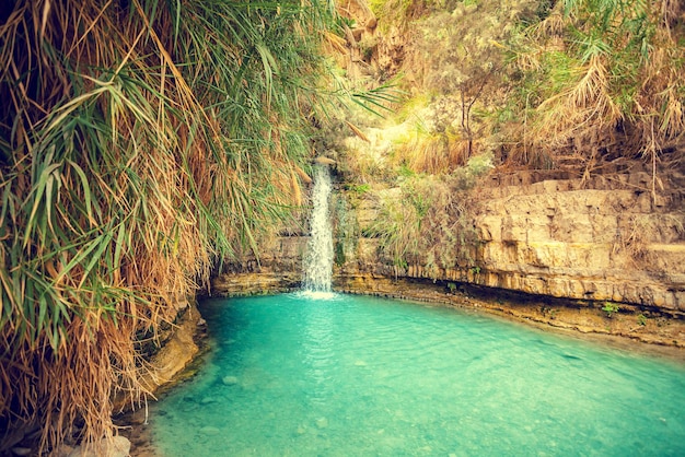 David's waterfall in Ein Gedi Nature Reserve