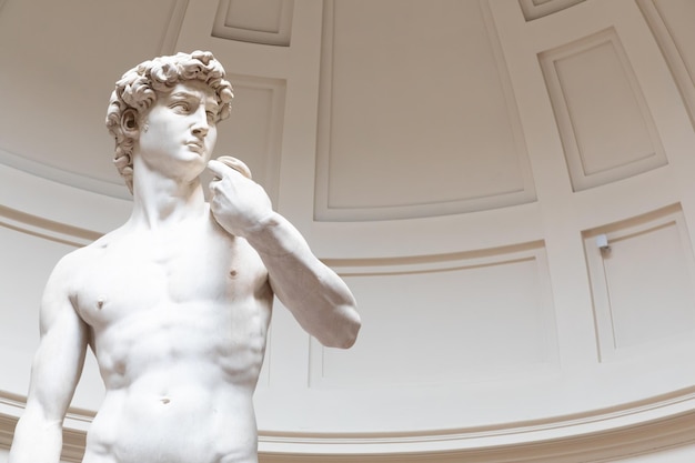 David sculpture by michelangelo buonarroti 1501 the masterpiece\
of the renaissance art