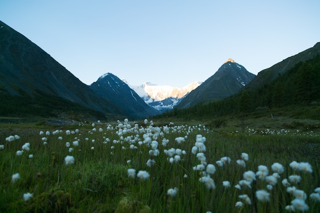 Dawn in the Altai Mountains.