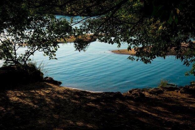 Dawn by the river Novo seen from under the shade of a tree, JalapÃÂ£o , Brazil.