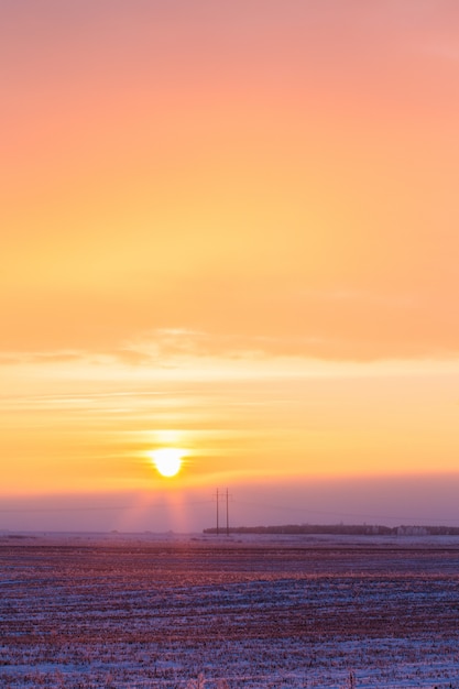 Dawn in de winter over het veld