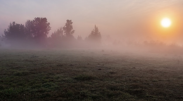 Dawn in Mexico-stad