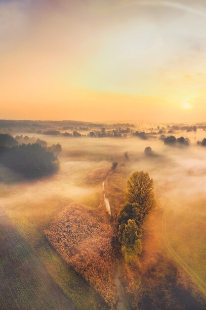 Dawn kalm dorpslandschap