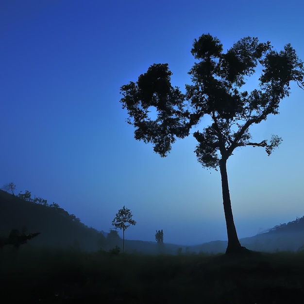 dawn on lake in blue tones.