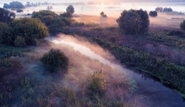 Dawn over the meadow A wonderful summer landscape Drone view Morning fog