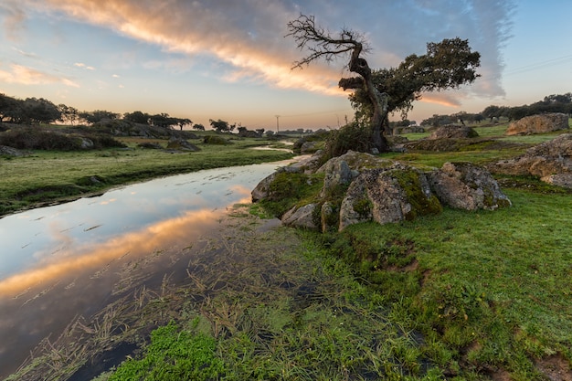 Dawn in a stream near Arroyo de la luz.