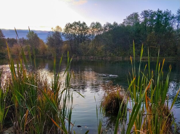 太陽の夜明けとカザンの青い湖のアヒルのシルエット