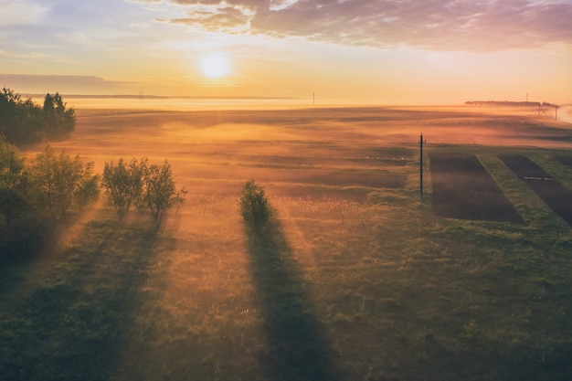 Dawn with fog in the fields