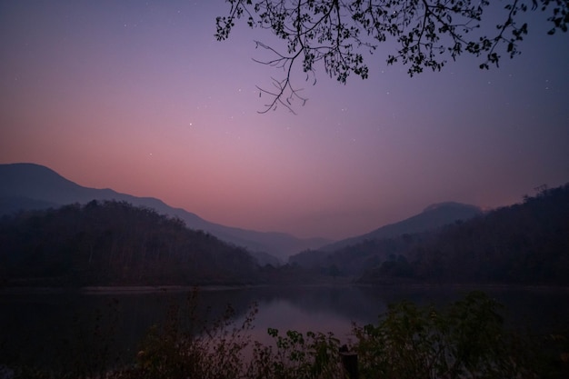 写真 前景にシルエットの木と水の上に浮かぶ霧と湖での夜明け