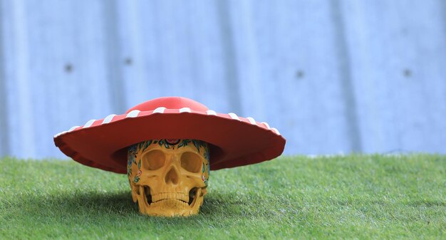 Day of the Dead Skull on the Grass