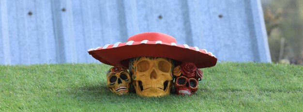 草の上の死んだ頭蓋骨の日