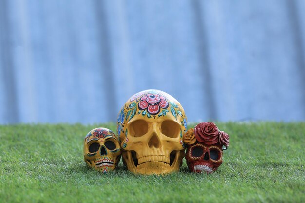 Day of the Dead Skull on the Grass