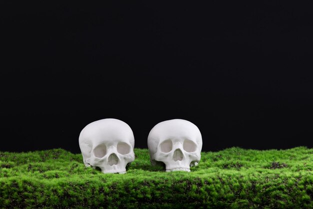 Day of the Dead skull on the grass