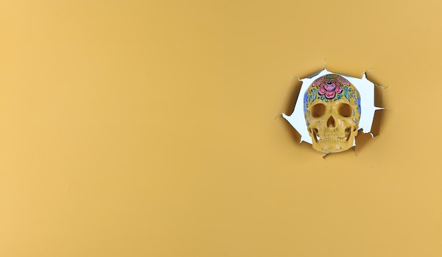 Day of the Dead Skull on a yellow background