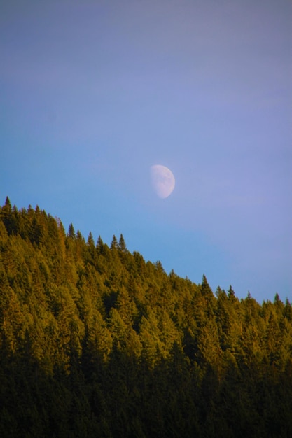 Foto un giorno di luna