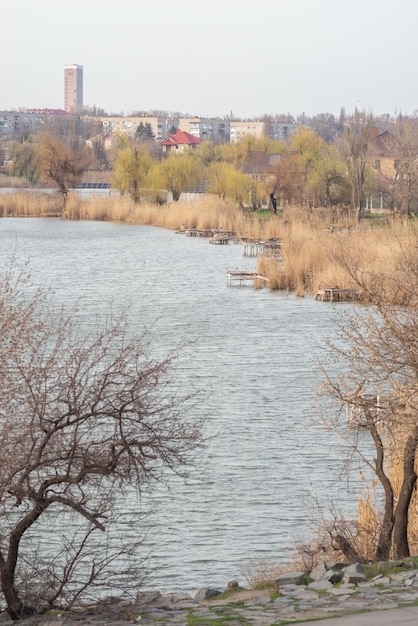 Daytime city river landscape with trees and houses