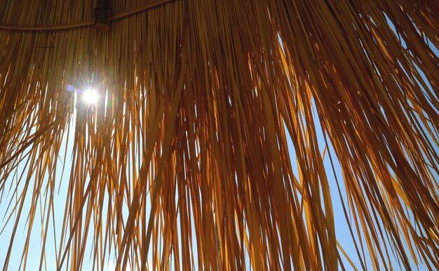 Dazzling sunlight shining through thatched roof for the concept of vacation