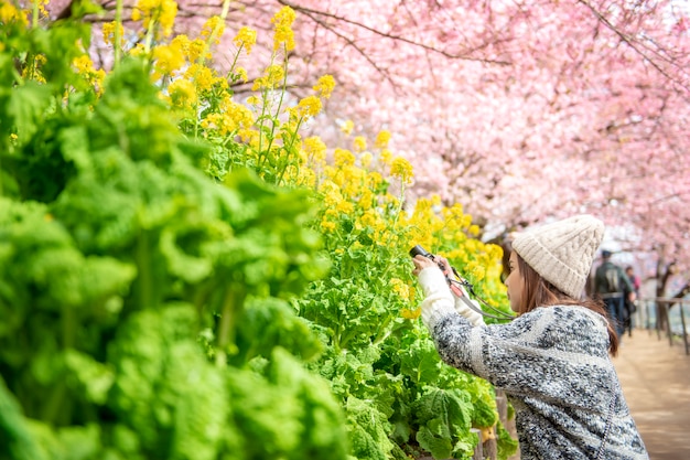 De aantrekkelijke vrouw geniet van met cherry blossom in het park