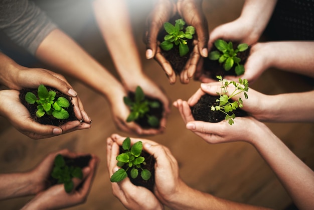 De aarde één plant per keer beschermen Bijgesneden opname van een groep mensen die planten vasthouden die uit de grond groeien