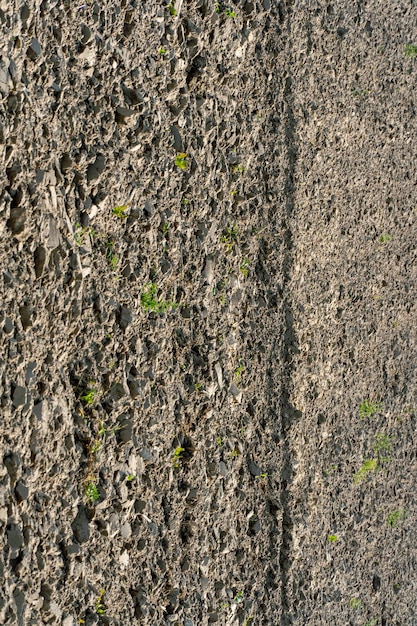 De achtergrond is een geploegd landbouwveld, een geploegd veld dat wordt gebruikt voor het zaaien van landbouwgewassen