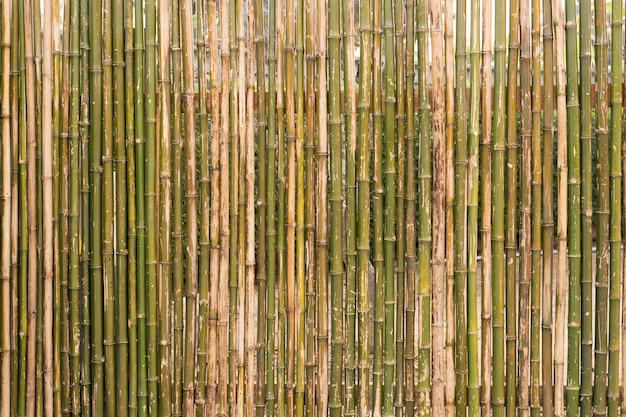 De achtergrond van de muur gemaakt van bamboe bamboe hek textuur achtergrond