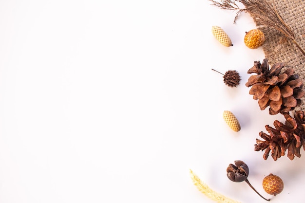 De achtergrond van het schoonheidsthema in flatlay Rustiek schoonheidsproduct Concept esthetisch schoonheidsproduct