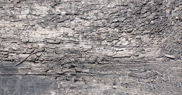 De achtergrond van oud hout en stro. Textuurachtergrond van grijs hout en droog takje