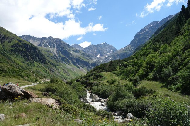 de Alpen in Oostenrijk