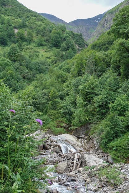 de Alpen in Oostenrijk