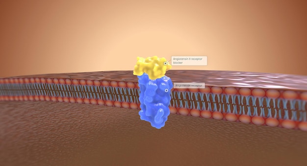 Foto de angiotensine ii-receptorblokkers