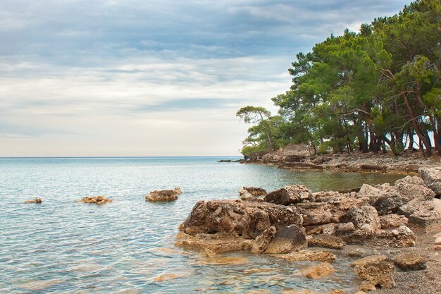 De baai van de oude stad Phaselis in Turkije. Middellandse Zee landschap. Antalya, Kemer.