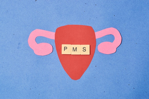 De baarmoeder van de vrouw in papierkunst PMS-concept en de gezondheid van vrouwen