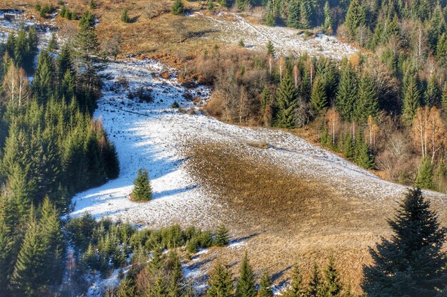 Foto de berg zlatar